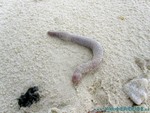 male2010-063.jpg