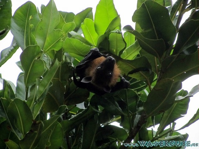 male2010-065.jpg