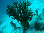male2010-069.jpg