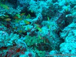 male2010-072.jpg
