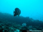 male2010-075.jpg