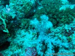 male2010-076.jpg
