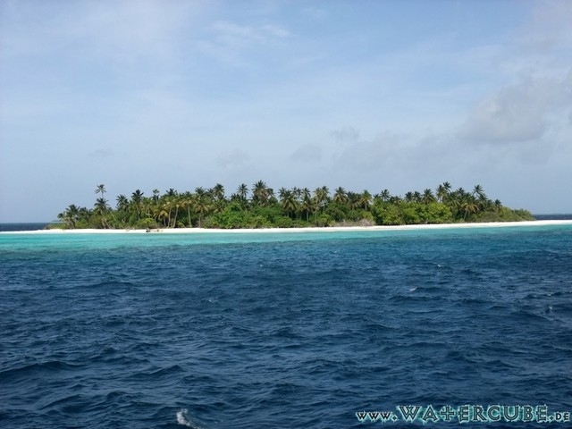male2010-078.jpg