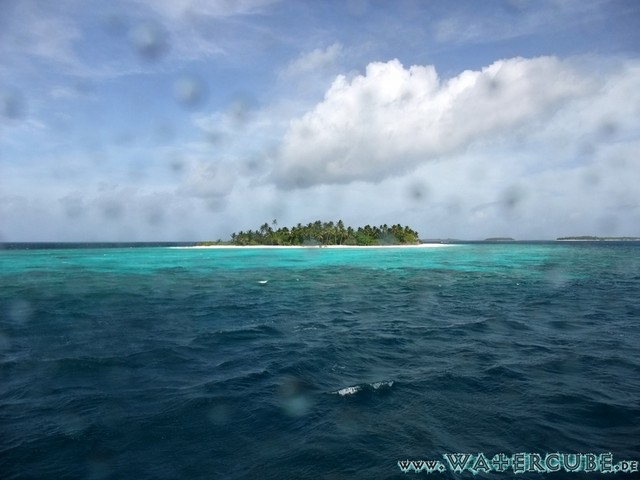 male2010-079.jpg