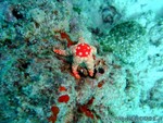 male2010-085.jpg