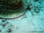 male2010-086.jpg