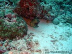male2010-087.jpg