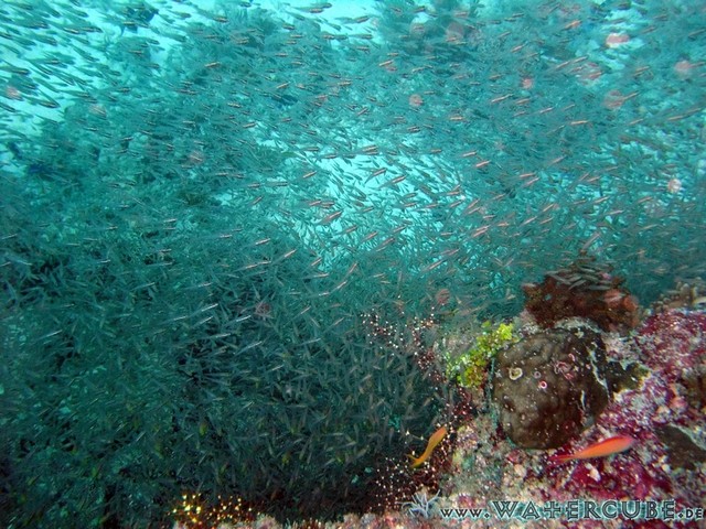 male2010-089.jpg