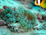 male2010-090.jpg
