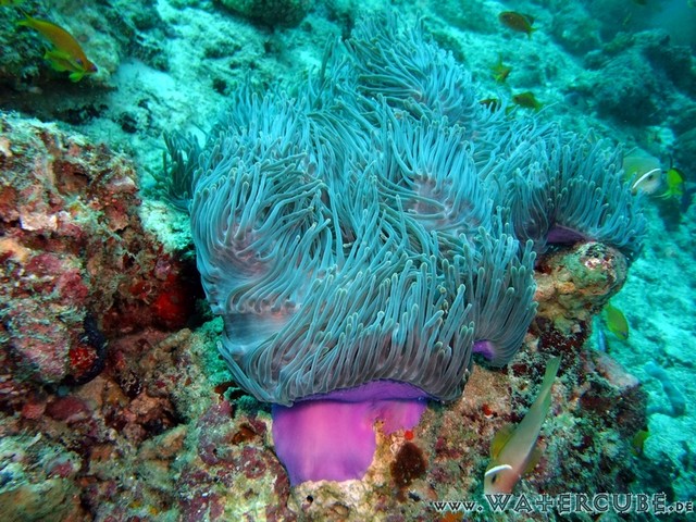male2010-091.jpg