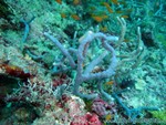 male2010-092.jpg