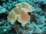 male2010-093.jpg