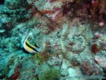 male2010-094.jpg