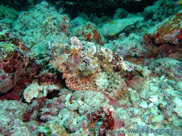 male2010-111.jpg