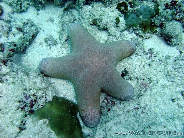 male2010-120.jpg