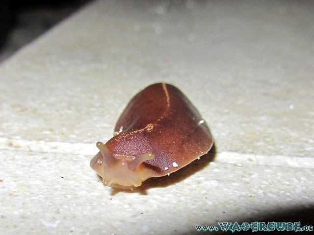 male2010-127.jpg