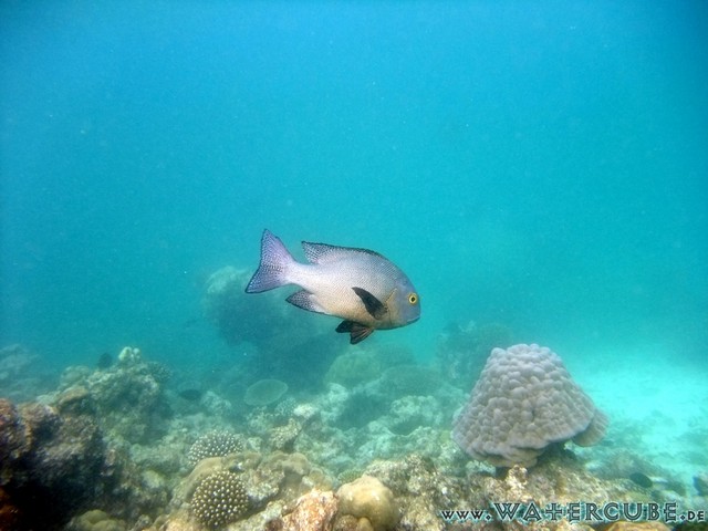 male2010-153.jpg
