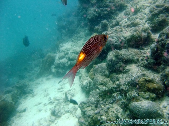 male2010-183.jpg