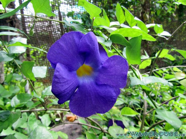 male2010-235.jpg