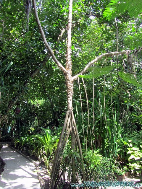 male2010-238.jpg