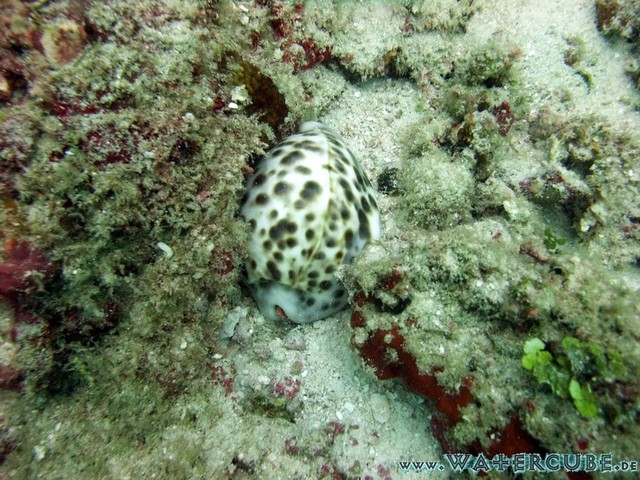 male2010-295.jpg