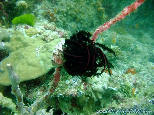 male2010-309.jpg
