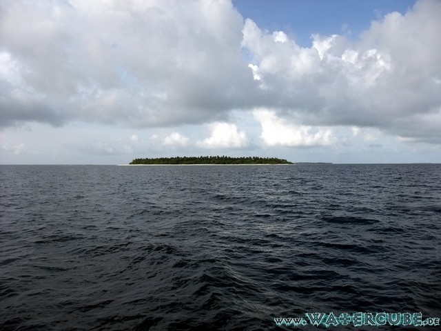 male2010-325.jpg