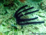 male2010-339.jpg