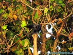 male2010-351.jpg