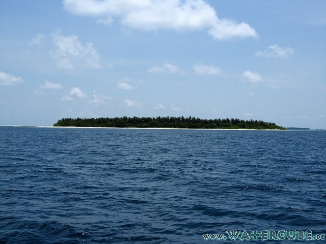 male2010-360.jpg