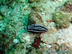 male2010-365.jpg