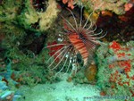 male2010-372.jpg