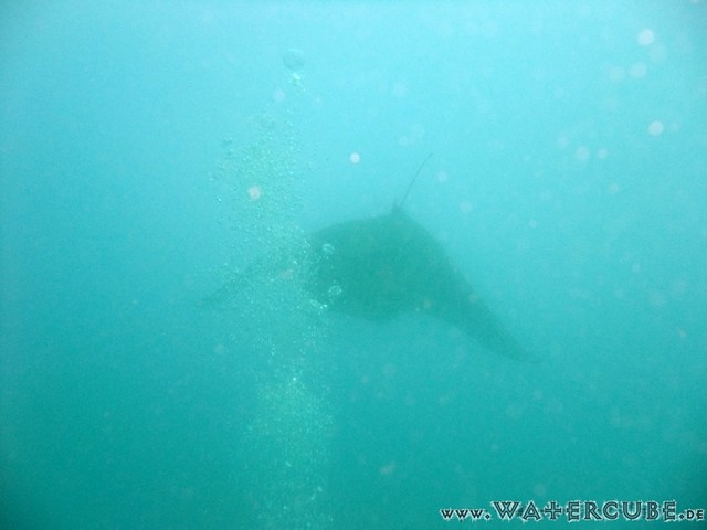 male2010-384.jpg