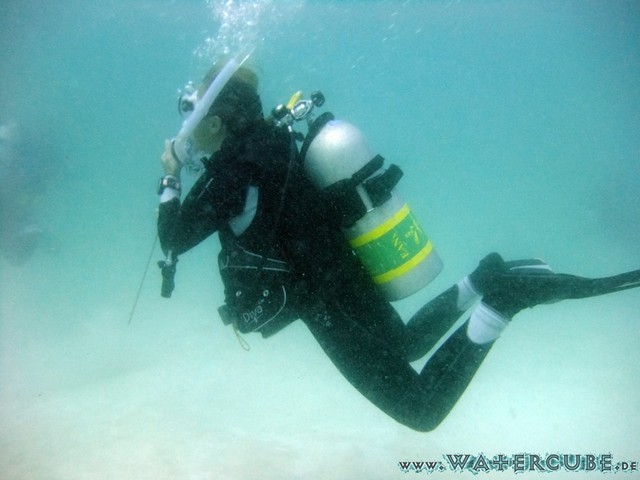 male2010-390.jpg