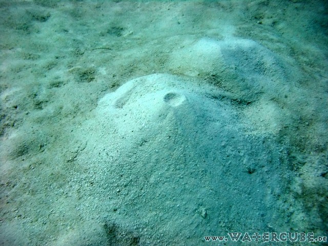 male2010-392.jpg