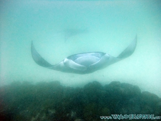 male2010-399.jpg