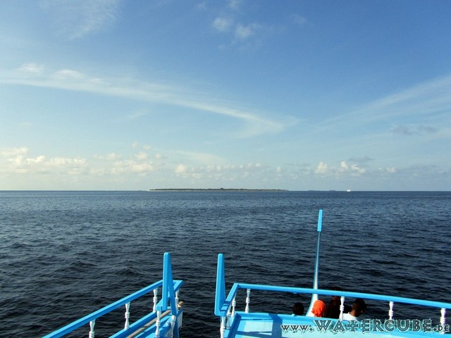 male2010-408.jpg