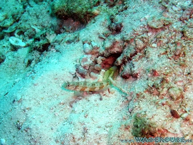male2010-423.jpg