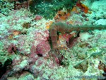 male2010-431.jpg