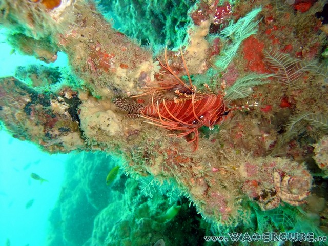 male2010-434.jpg