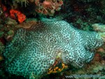 male2010-437.jpg