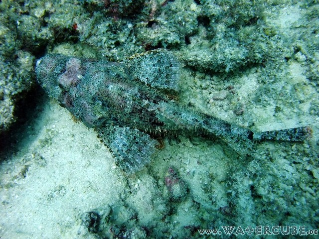 male2010-443.jpg