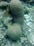 male2010-444.jpg