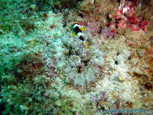 male2010-449.jpg