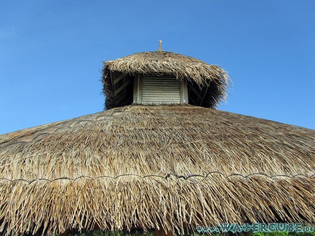 male2010-457.jpg