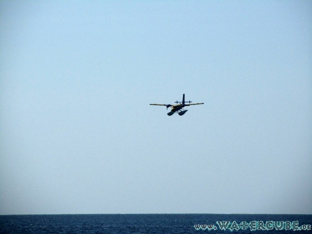 male2010-459.jpg