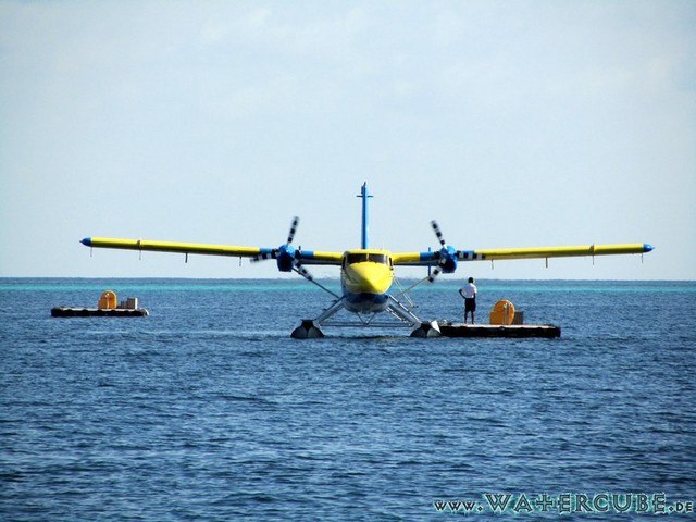 male2010-460.jpg