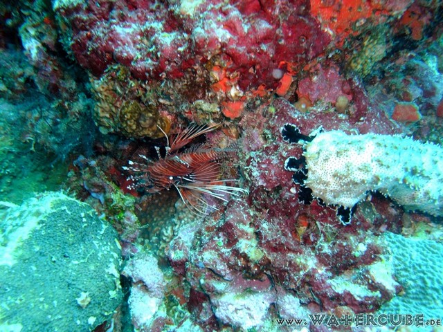 male2010-522.jpg