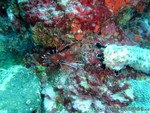 male2010-522.jpg