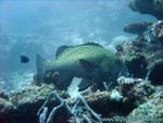 male2010-524.jpg